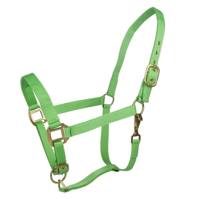Tabelo Nylon Halter with Adj Chin Lime / Cob