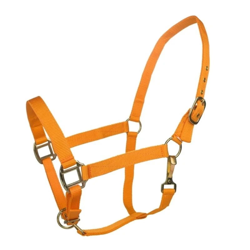 Tabelo Nylon Halter with Adj Chin Orange / Cob