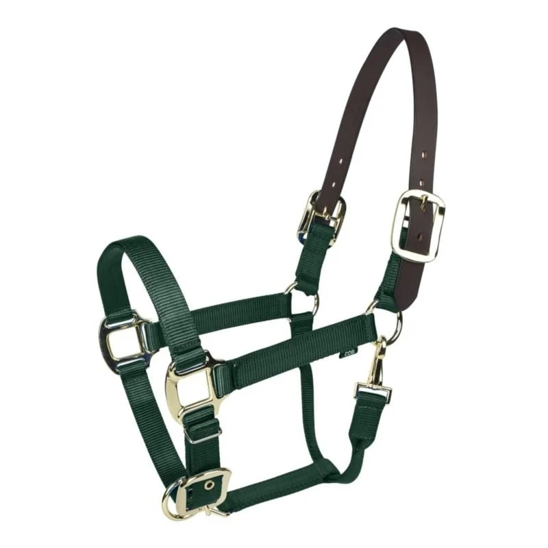 Gatsby Gold Nylon Breakaway Halter Hunter / Cob