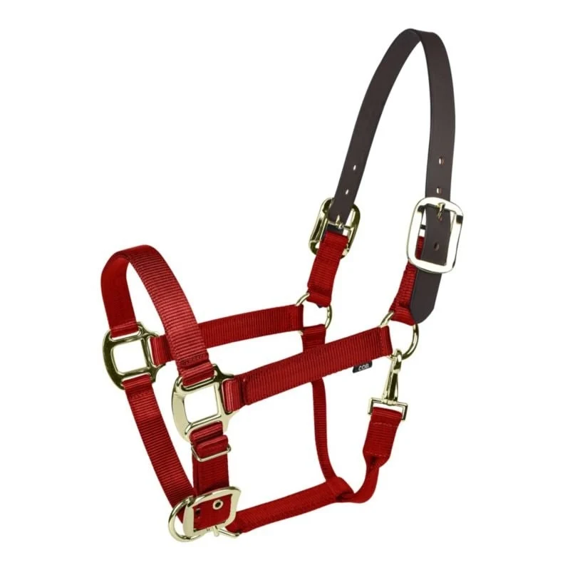 Gatsby Gold Nylon Breakaway Halter Red / Pony