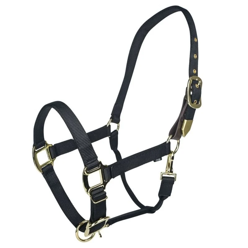 Gatsby Gold Safety Breakaway Halter Black / Oversize