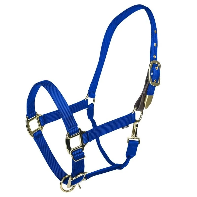 Gatsby Gold Safety Breakaway Halter Blue / Pony