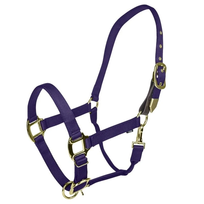 Gatsby Gold Safety Breakaway Halter Purple / Pony