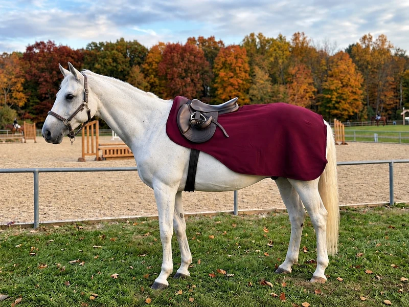 Gatsby Competition Sheet Burgundy / Small