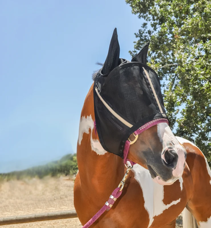 Noble Equestrian Guardsman Fly Mask with Ear Black / X-Large