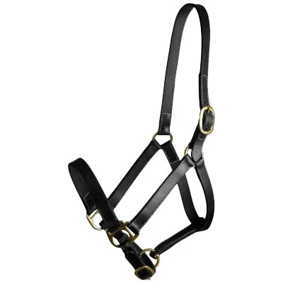 Gatsby Adj Turnout Leather Halter No Snap Havana / Yearling