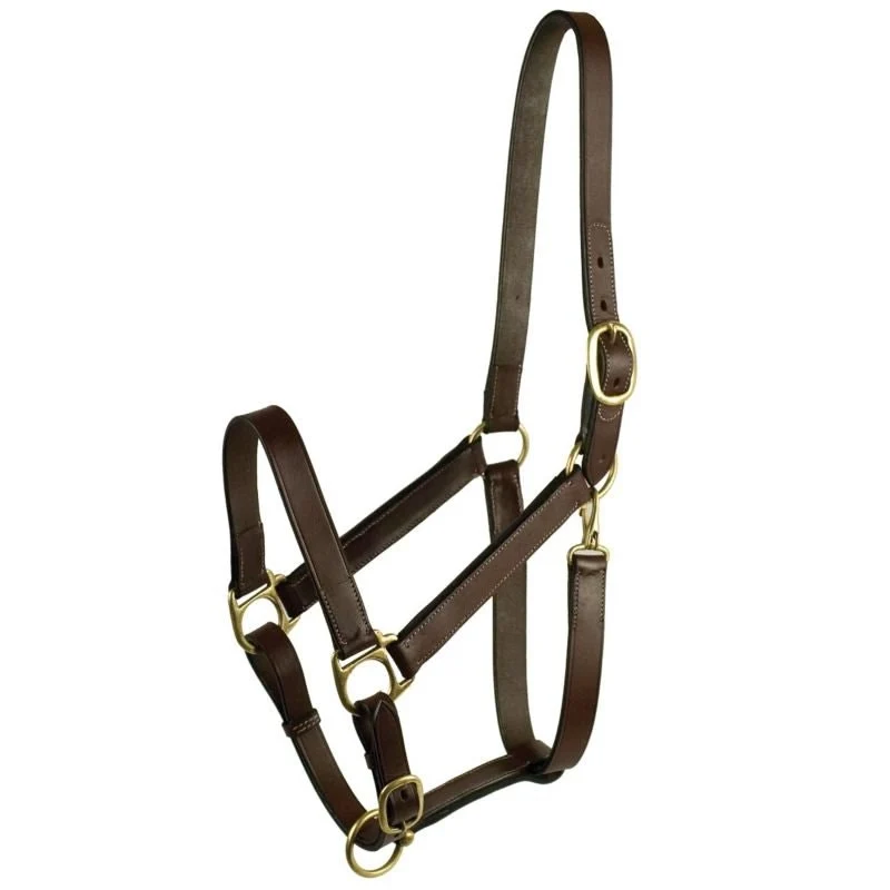 Gatsby Leather Turnout Halter with Snap Havana / Oversize