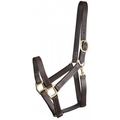 Gatsby Track Style Turnout Halter/Snap Havana / Horse