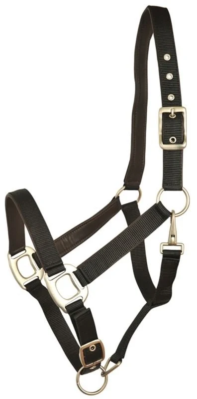 Gatsby Leather Pad Nylon Halter Black/Brown / Oversize
