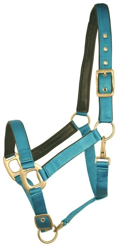 Gatsby Leather Pad Nylon Halter Blueberry/Brown / Oversize