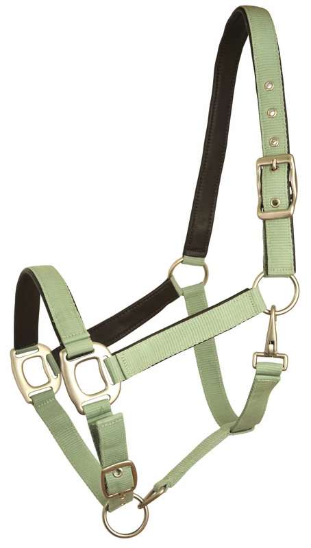 Gatsby Leather Padded Adjustable Nylon Halter Pistachio/Brown / Cob