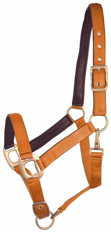 Gatsby Leather Padded Adjustable Nylon Halter Pumpkin/Brown / Horse