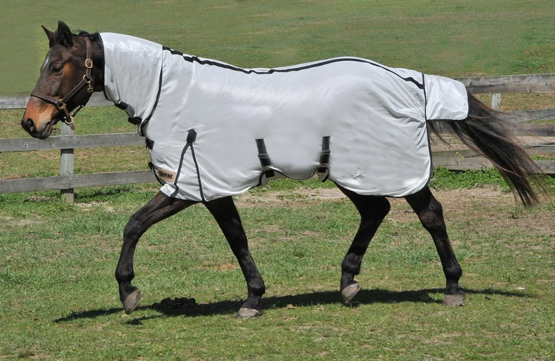 KODIAK Softmesh Combo Fly Sheet White with Black Trim / 82