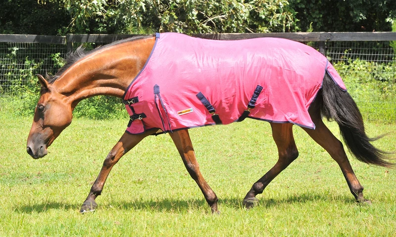 McAlister Soft-Mesh Fly Sheet Pink / 72