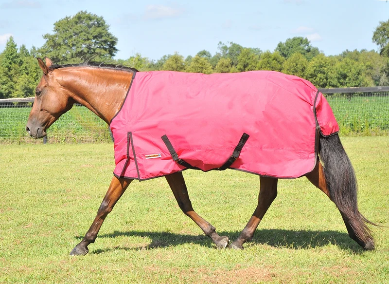 McAlister 600D Ripstop Waterproof Turnout Sheet Pink / 80