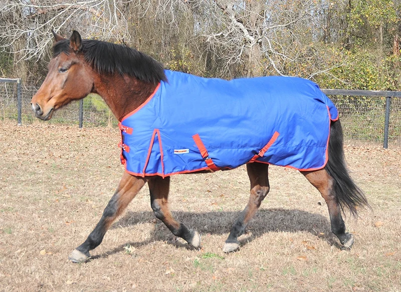 McAlister 1200D Waterproof & Breathable Heavyweight Blanket Royal / 82