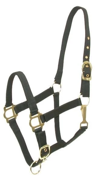 Gatsby Adj Nylon Halter/Snap Black / Cob