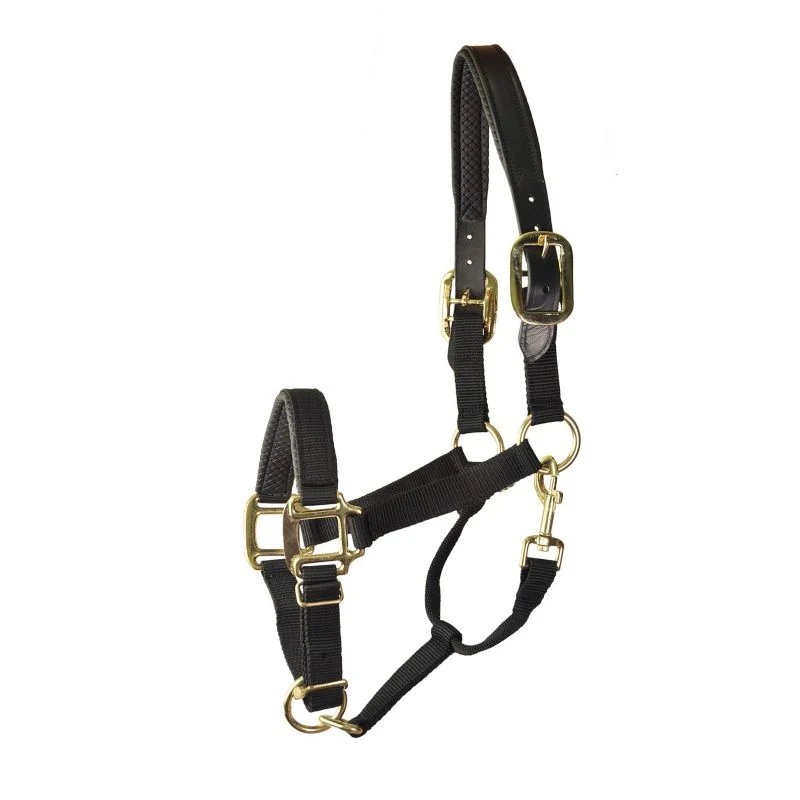 Gatsby Prem Nylon Padded Halter Black / Horse