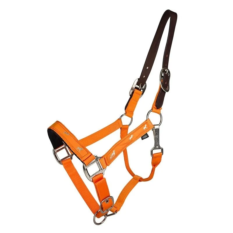 Gatsby Nylon Breakaway Halter Overlay Orange / Horse