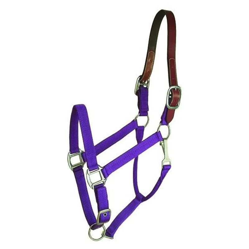 Gatsby Nylon Breakaway Halter Purple / Horse