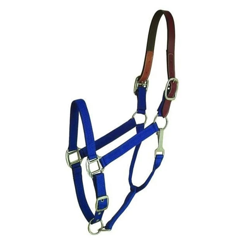 Gatsby Nylon Breakaway Halter Royal Blue / Horse