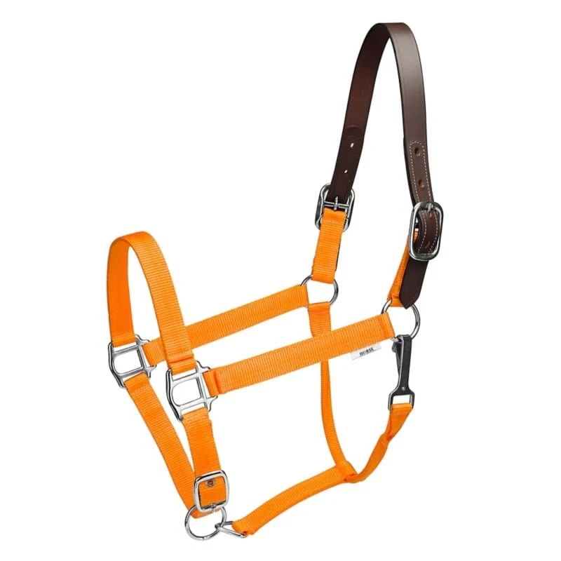 Gatsby Nylon Breakaway Halter Orange / Oversize