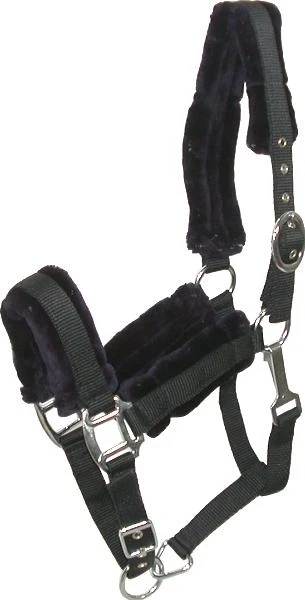 Gatsby Nylon Halter with Removable Fleece Black / Cob