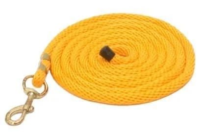 Gatsby Poly 10ft Lead/Snap Gold / 10'