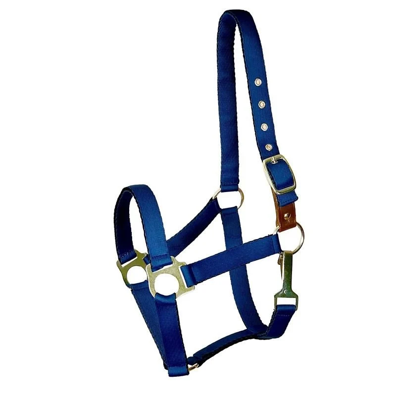 Gatsby Nylon Safety Breakaway Halter Navy / Horse