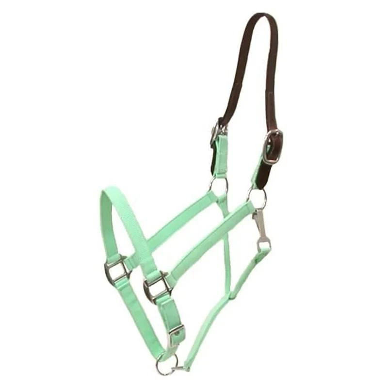 Gatsby Nylon Breakaway Halter Mint Green / Cob
