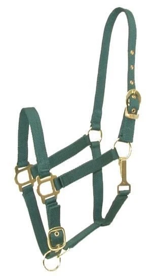 Gatsby Adj Nylon Halter/Snap Hunter / Pony