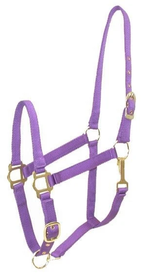 Gatsby Adj Nylon Halter/Snap Purple / Pony