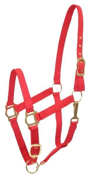 Gatsby Adj Nylon Halter/Snap Red / Oversize