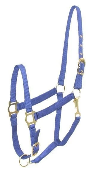 Gatsby Adj Nylon Halter/Snap Royal / Oversize