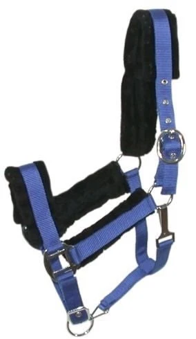 Gatsby Nylon Halter/Removable Fleece Royal Blue / Horse