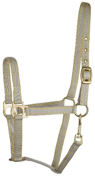 Gatsby 2-Tone Nylon Halter/Snap Grey/Yellow / Pony