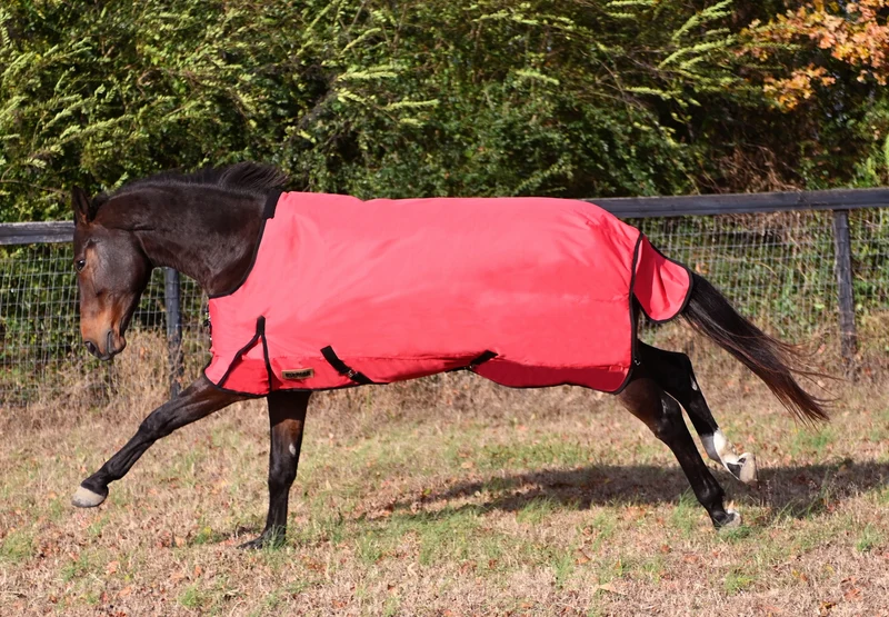 Kodiak 1200D Ripstop Waterproof Heavyweight Blanket Red / 74