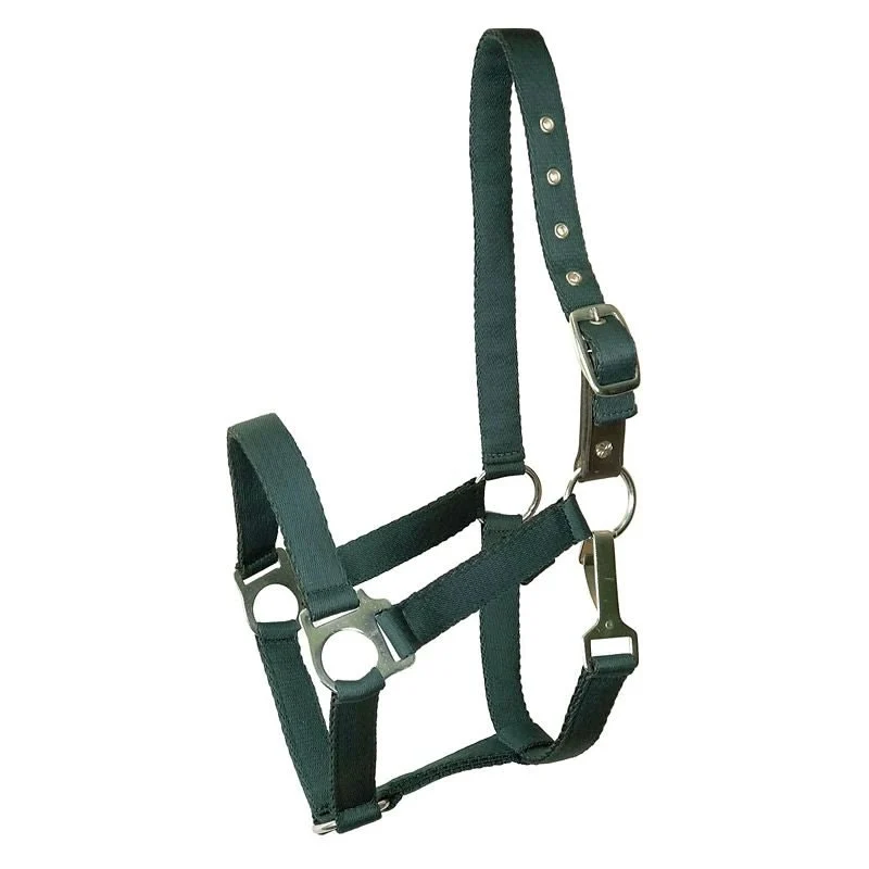 Gatsby Nylon Safety Breakaway Halter Hunter Green / Pony