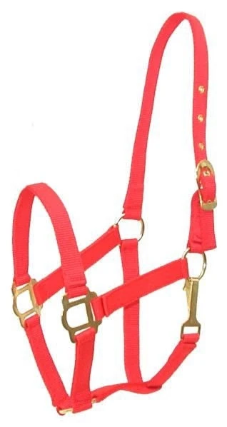 Gatsby Classic Nylon Halter/Snap Red / Pony