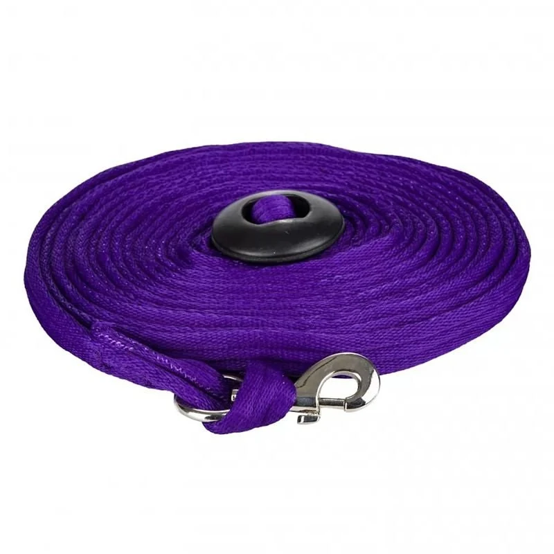 Gatsby Cushion Web Lunge Line Purple / 25'