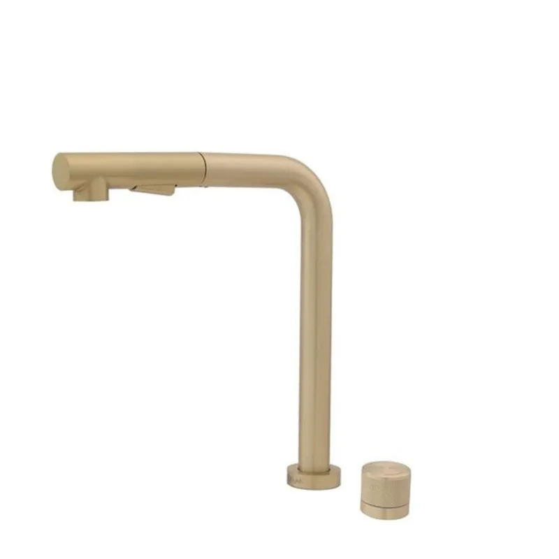 Stylish Single Handle Stainless Steel Lift-Up Kitchen Faucet w/ Pull-Down Sprayhead - Brushed Gold