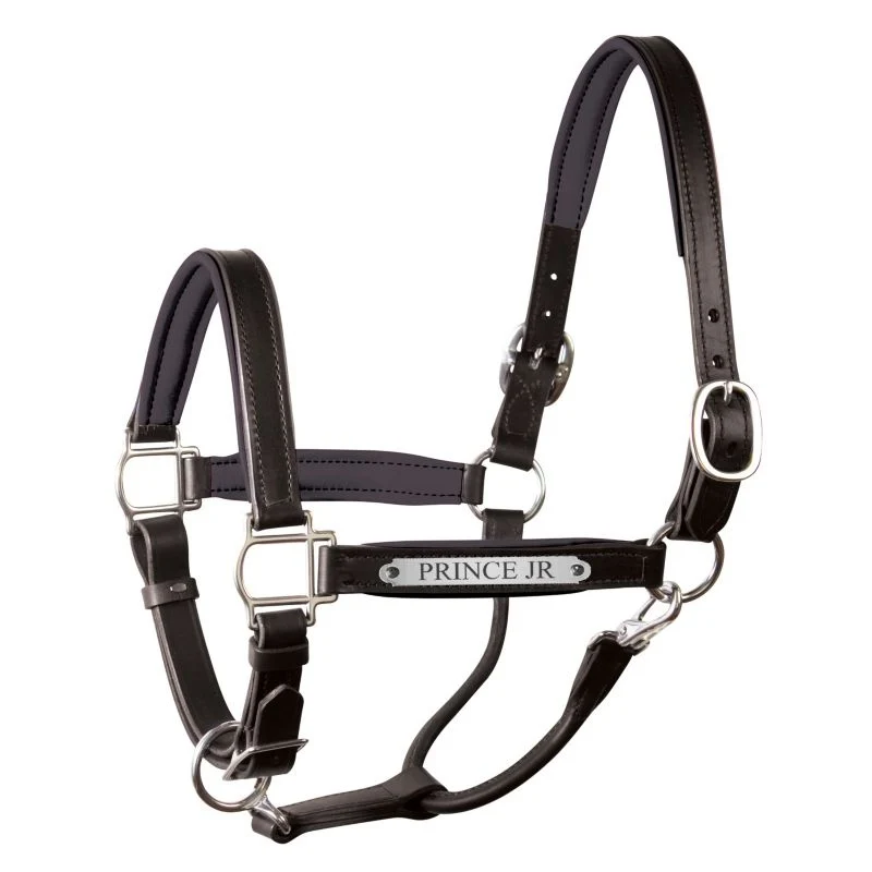Perri's Personalized Padded Leather Halter Black/Burgundy w/Chrome / Cob