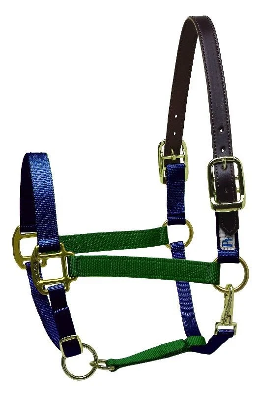 Perri's Color Vision Halter Hunter Green Navy / Pony