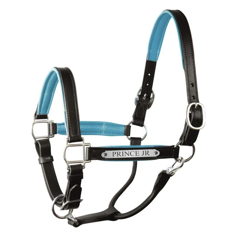 Perri's Personalized Padded Leather Halter Black/Sky Blue / Cob
