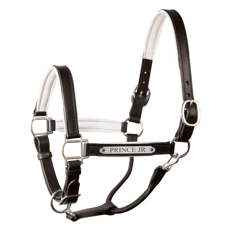 Perri's Personalized Padded Leather Halter Black/White w/Chrome / Horse