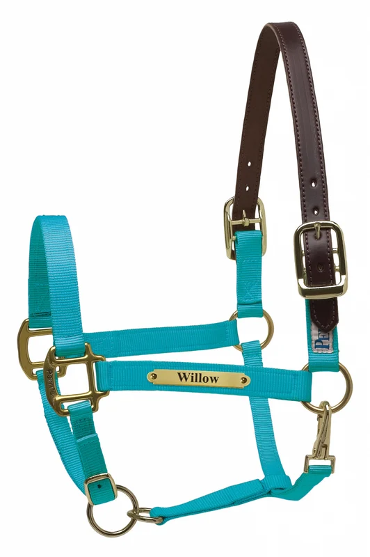 Perri's Personalized Premium Nylon Safety Halter Turquoise / Oversize