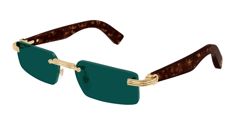 Cartier CT0537S 55mm / GOLD / HAVANA / GREEN