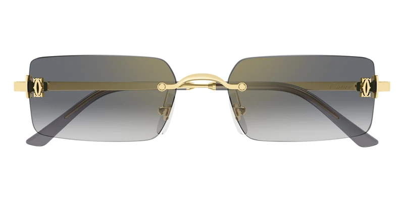 Cartier - CT0672S C Décor Gold / Gray Multi Treatment 005 / 56-18-145