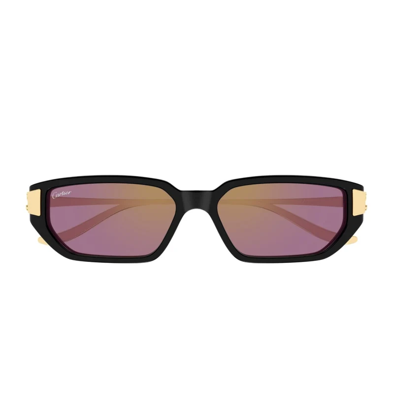 Cartier Bold Rectangular Sunglasses In Recycled Acetate With Gold Accents One Size