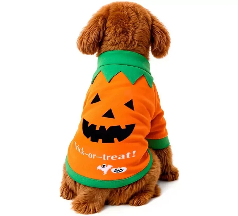 Disfraz Mascota Calabaza M